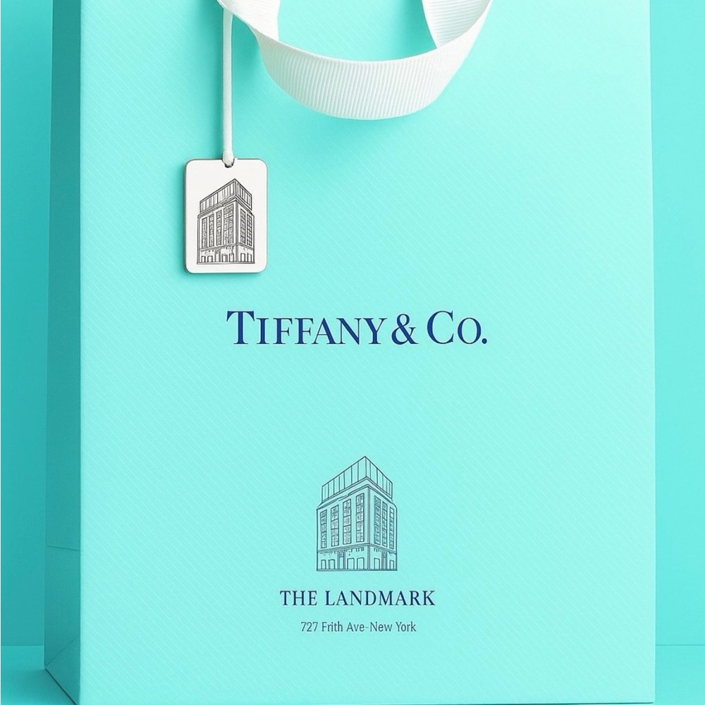 Tiffany & Co. Landmark Shopping Bag